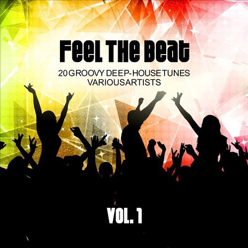 Feel the Beat (20 Groovy Deep-House Tunes), Vol. 1