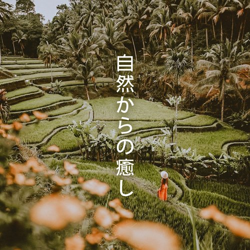 サマーブリーズセンセーション cover art