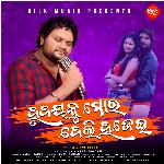 Hrudayaku Mora Deli Hajei