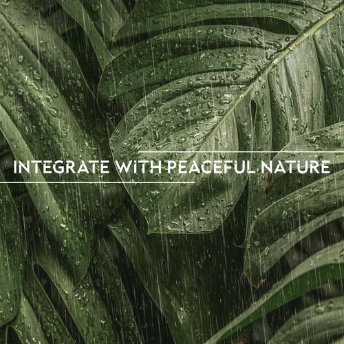 Integrate with Peaceful Nature (Rain Relaxation)_poster_image