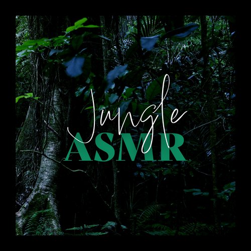 Jungle ASMR_poster_image