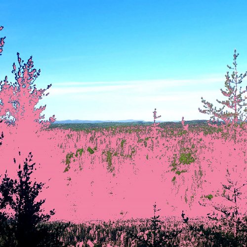 Stomac people cover art