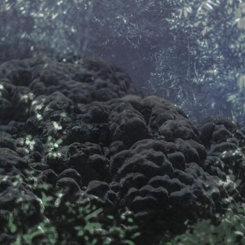 Ancient echoes