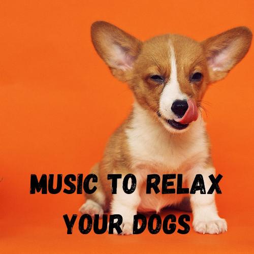 Music to Relax Your Dog (Vo.12)