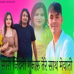 सारी जिंदगी गुजारु तेरे साथ मेवाती