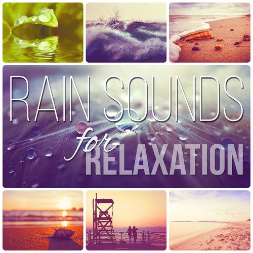 Rain Sounds for Relaxation – Deep Sleep Therapy, Yoga Relaxation, Calming Music for Well Being, Massage, Healing Meditation, Reiki