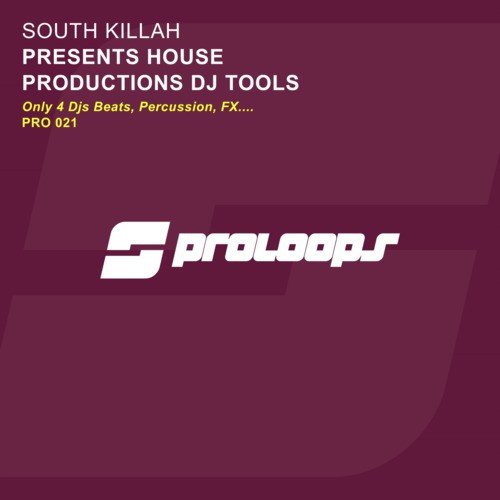South Killah Presents House Productions DJ Tools
