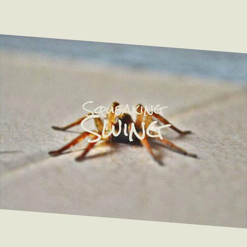 Squeaking Swing cover art