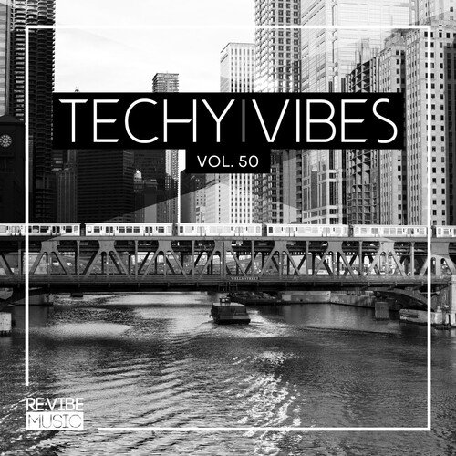 The Mysterious (Original Mix)