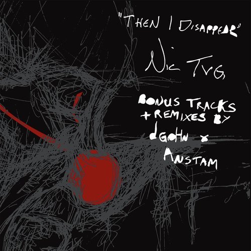 Then I Disappear (Anstam Remix) [feat. Anstam] cover art
