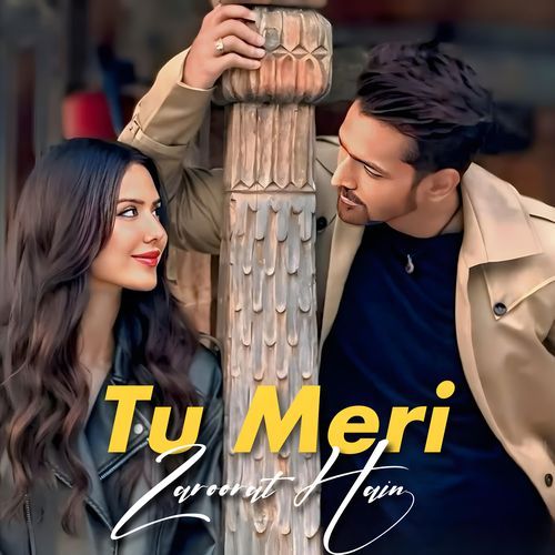 Tu Meri Zaroorat Hain