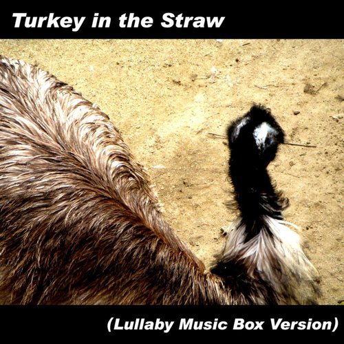 Turkey in the Straw (Lullaby Music Box Version)
