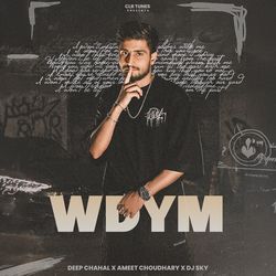WDYM