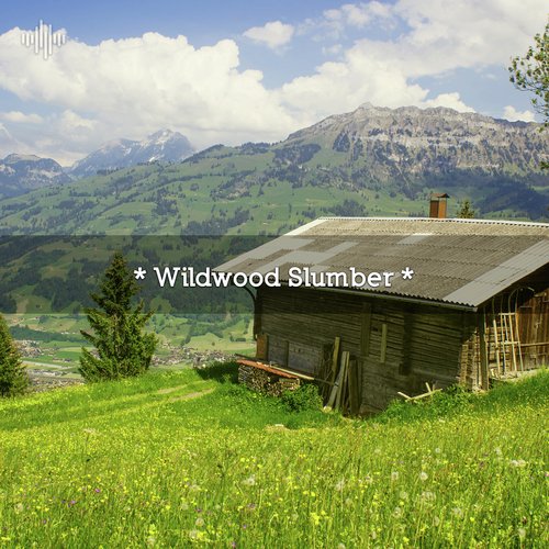 Ambient Nature Sounds cover art