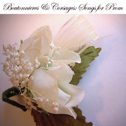 My Heart Will Go On (Theme from Titanic) cover art