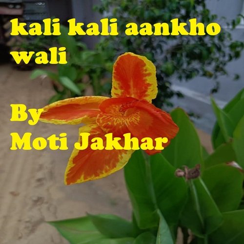 kali kali aankho wali