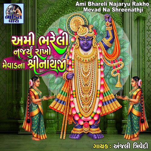 Ami Bhareli Najaryu Rakho Mevad Na Shreenathji