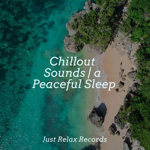 Chillout Sounds | a Peaceful Sleep_poster_image