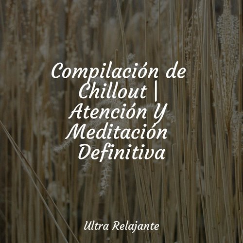 Domingos Perezosos cover art