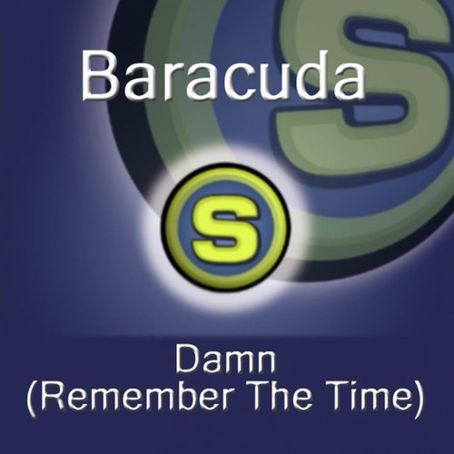 Damn! (Remember The Time) (Plastic Men Remix)