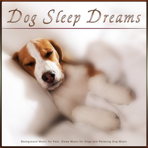 Relaxing piano store music for dogs