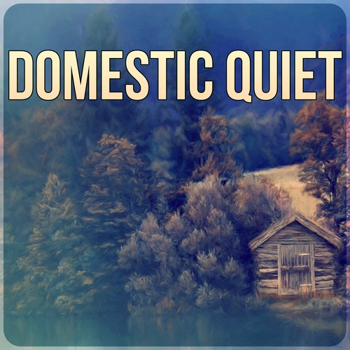 Domestic Quiet - Insomnia Therapy, Relax & New Age Music, Instrumental Music with Nature Sounds for Massage Therapy & Intimate Moments, Amazing Home Spa