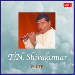 Flute - T.N. Shivakumar