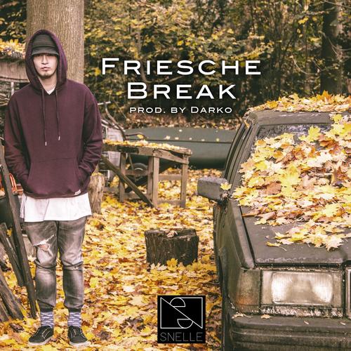 Friesche Break_poster_image