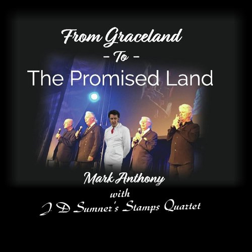 From Graceland to the Promised Land_poster_image