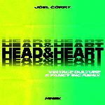 Head &amp; Heart (feat. MNEK) (Vintage Culture &amp; Fancy Inc Remix)