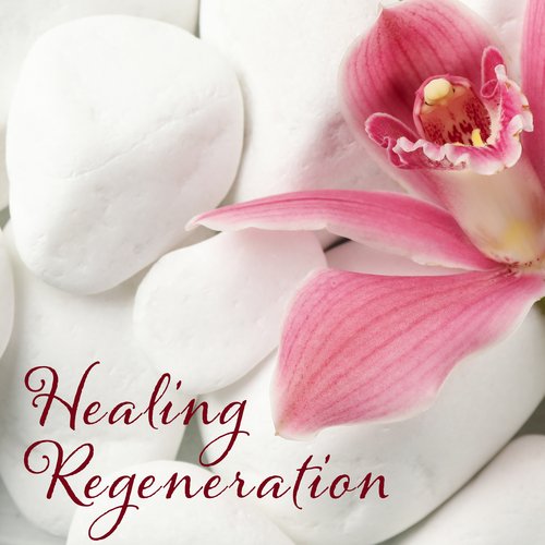 Healing Regeneration: Music For a Deep Relaxation of the Whole Body_poster_image