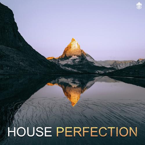 House Perfection_poster_image