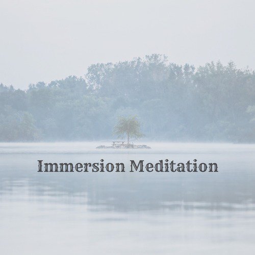 Immersion Meditation