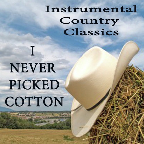 I Never Picked Cotton (Instrumental Version)