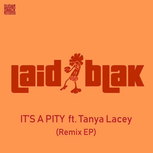 It's a Pity (Vinyl Junkie & Kickback Remix)