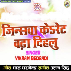  Vikram Bedradi