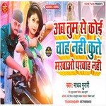 Kute Se Marwao Parwah