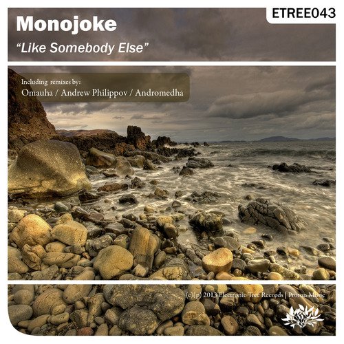 Like Somebody Else (Andromedha Remix)