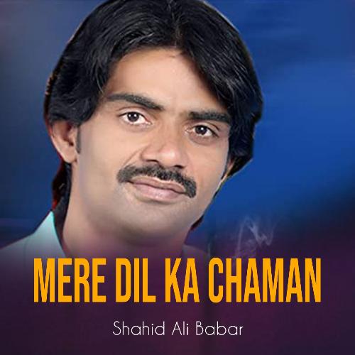 Mere Dil Ka Chaman