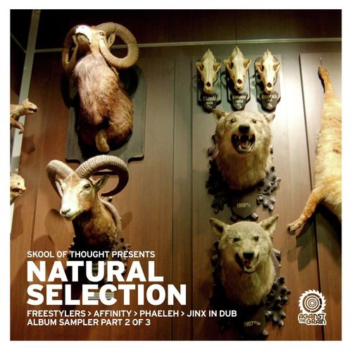 Natural Selection Album Sampler Pt 2