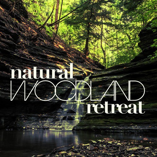 Natural Woodland Retreat