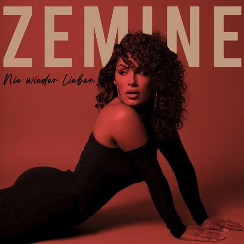 Nie wieder lieben cover art