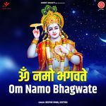 Hare Ram Hare Ram Hare Krishna