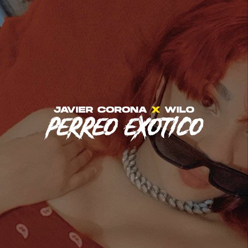 Perreo Exotico_poster_image