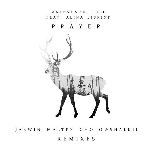 Prayer (Remixes)_poster_image