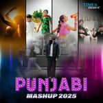 Punjabi Mashup 2025
