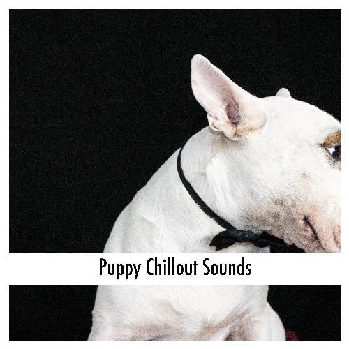Calming Dog Mornings cover art