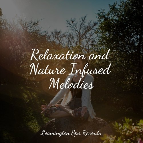 Meditating Music cover art
