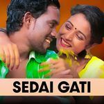 Sedai Gati