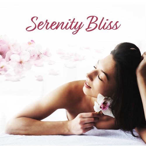 Blissful Comfort cover art